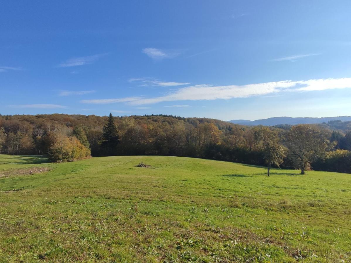 Gite Des Prary Des Mille Etangs Ternuay-Melay-et-Saint-Hilaire Kültér fotó